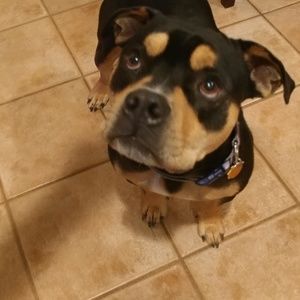 Meet your Posher, Jeff